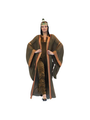 Orange Brown ladies Dress
